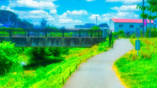 境川を快適な空間に　