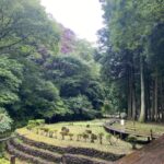 大地沢の風景