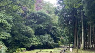 大地沢青少年センターの将来像について