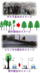 街路樹のイメージ