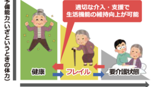 高齢者向け フレイル予防のための栄養パトロールとは？