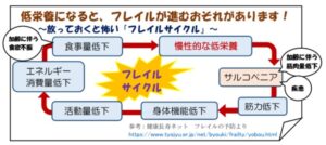 【フレイルサイクル】低栄養とフレイルの関連性