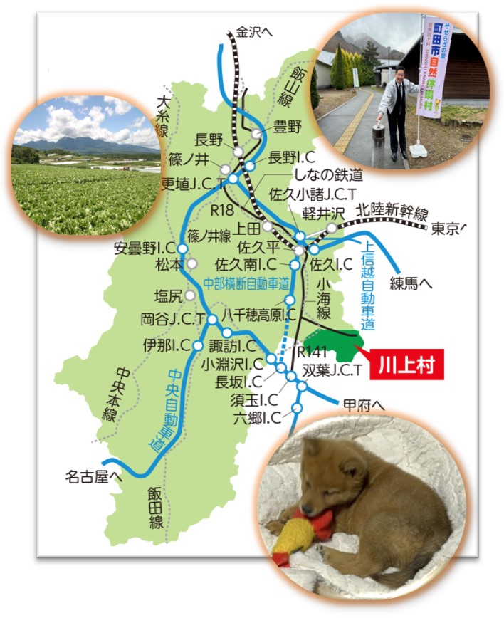 川上村の場所をあらわす長野県地図です。