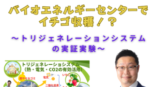 バイオエネルギーセンターでイチゴ収穫！？〜トリジェネレーションシステムの実証実験〜
