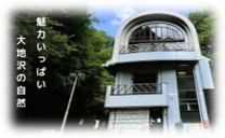 Nature Factory 東京町田の画像です。