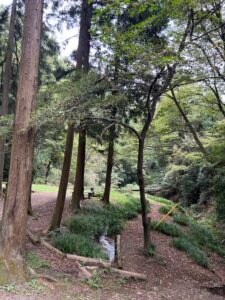 写真はNature Factory東京町田です。